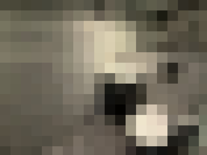  / #12