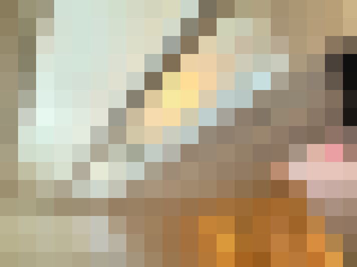  / #8