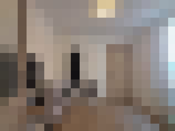 / #19