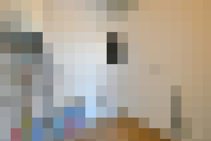  / #13