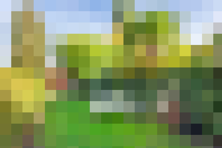  / #16