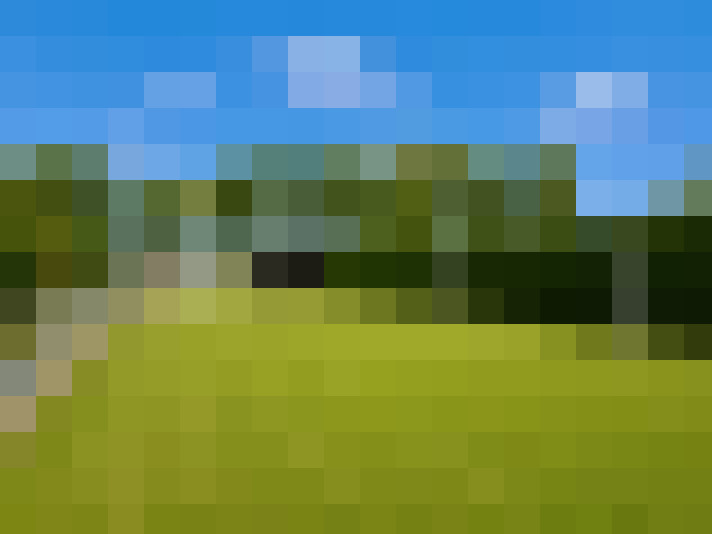  / #6