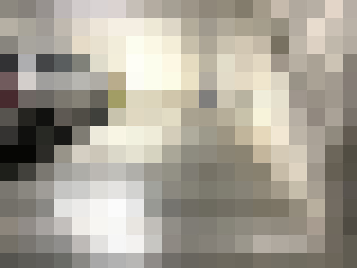  / #14