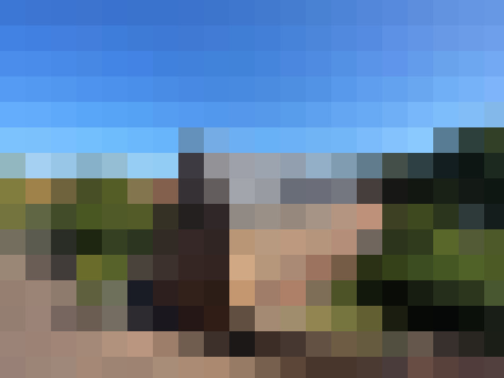  / #11