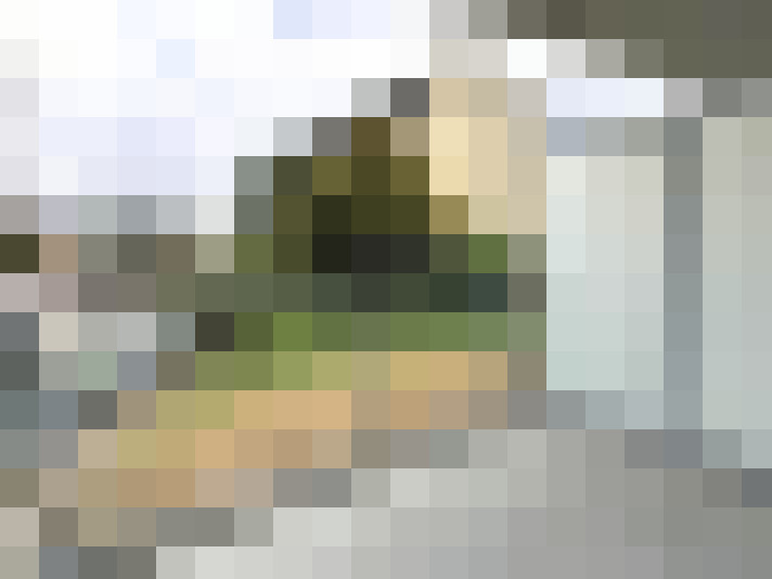  / #8