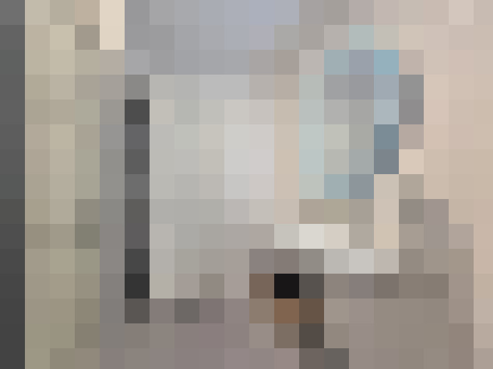  / #16