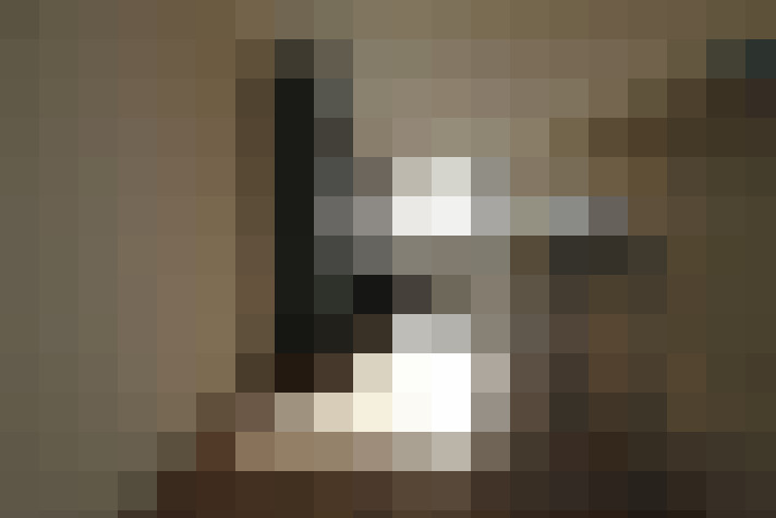  / #8