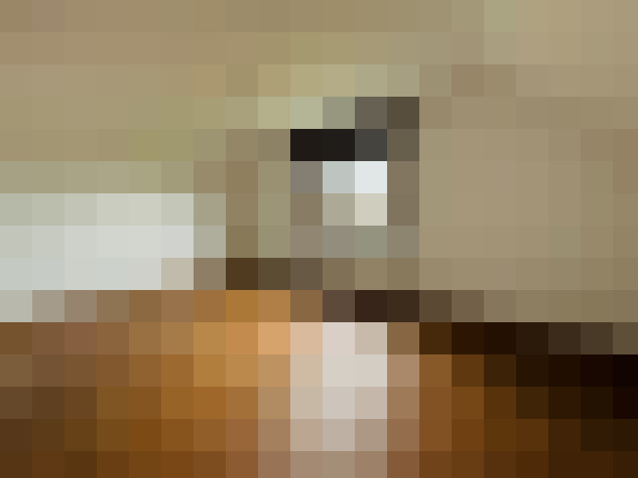  / #16