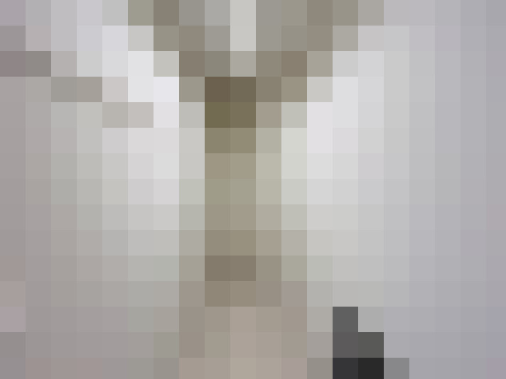  / #11