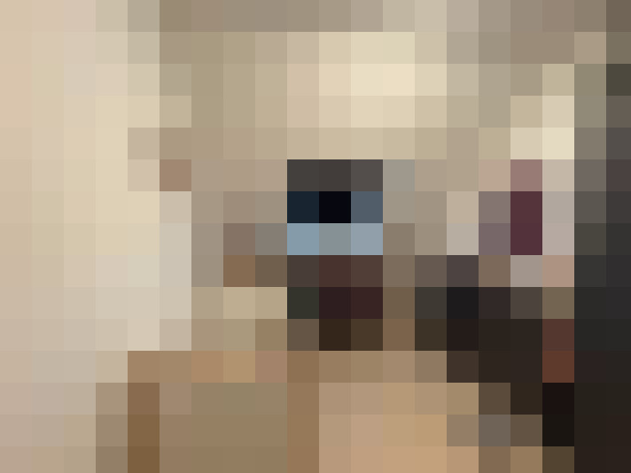  / #11