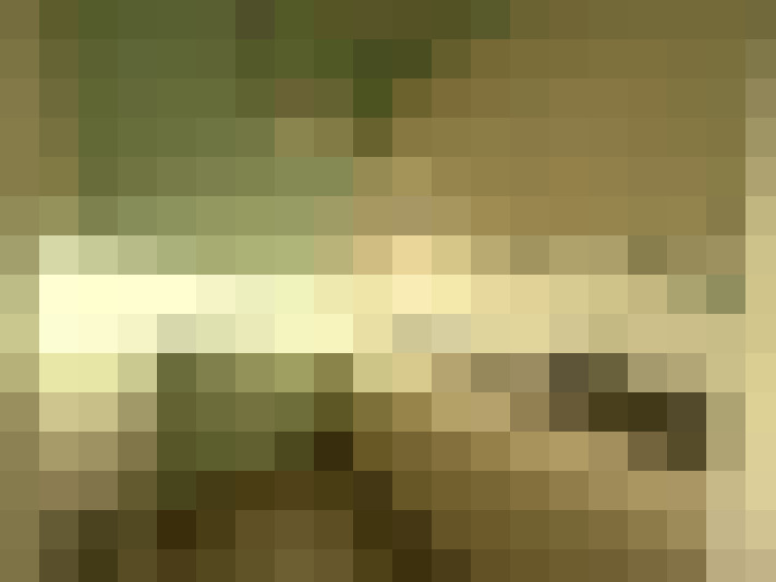  / #6