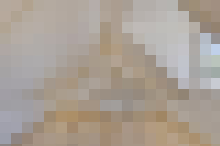  / #20