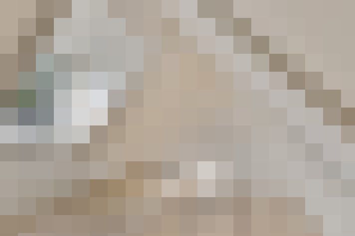  / #21