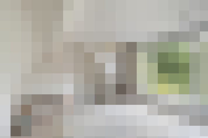  / #21