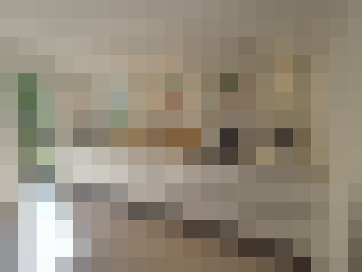  / #21