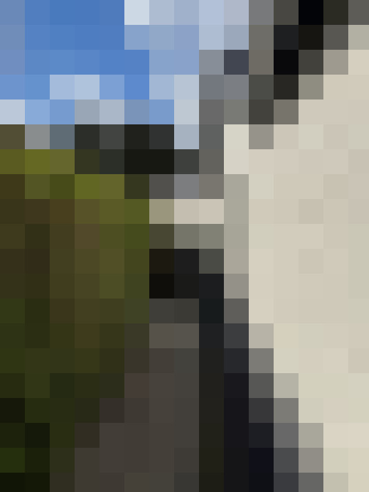  / #14