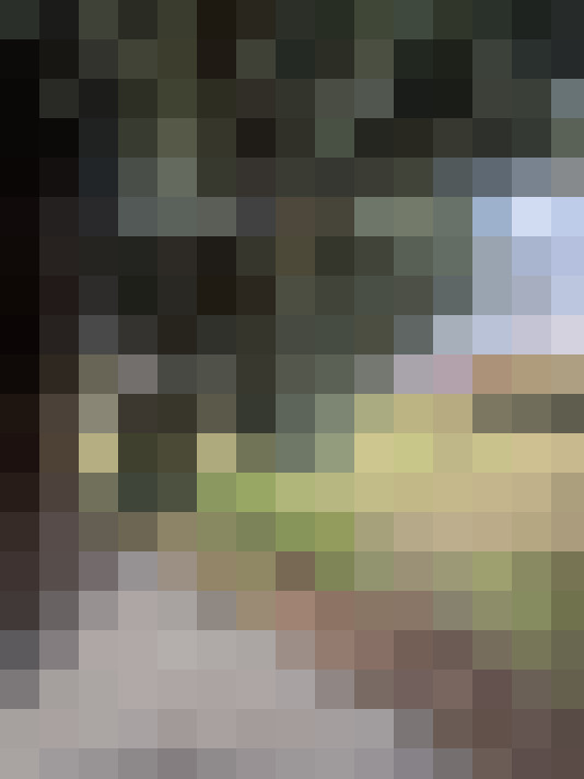  / #16