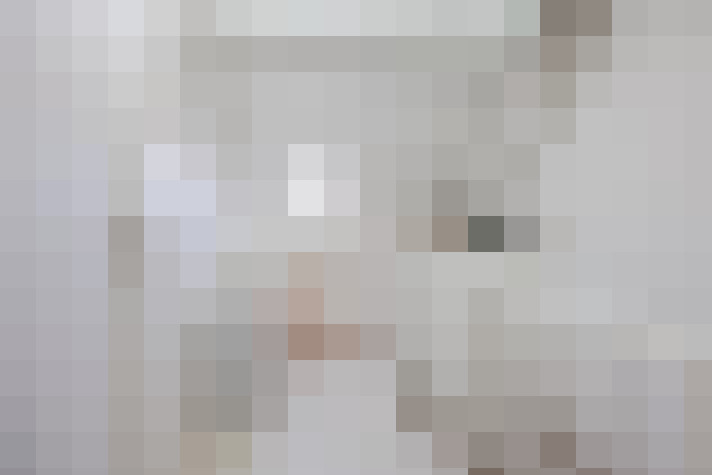 / #23