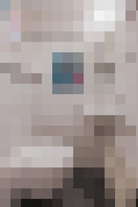  / #11