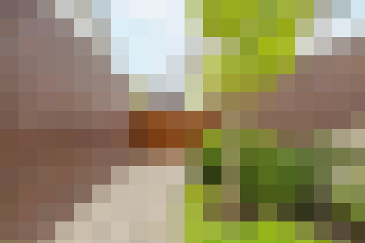  / #11