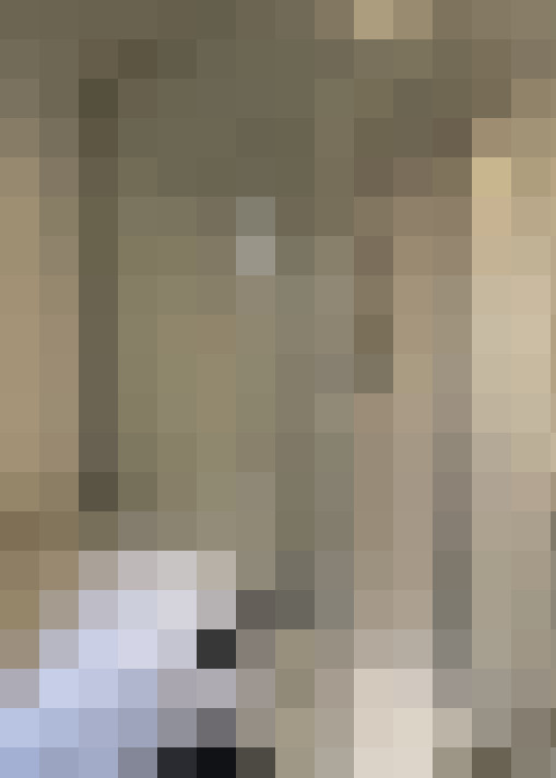  / #17