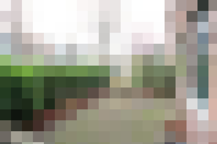  / #15