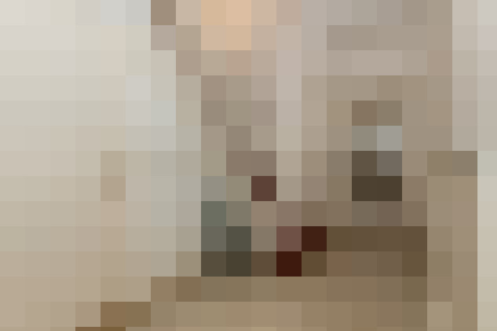  / #19