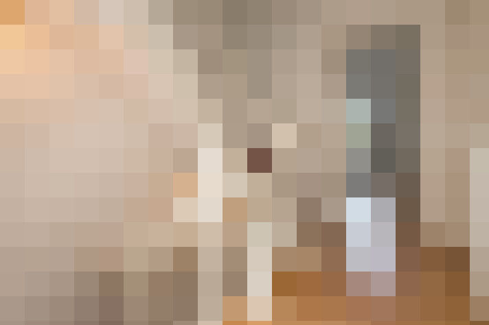  / #21