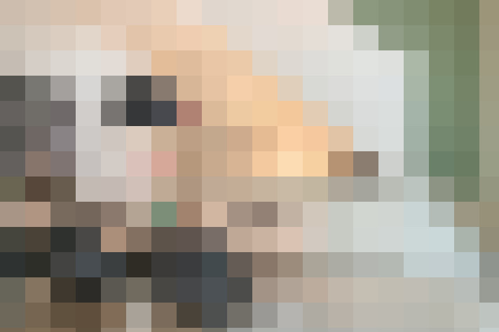 / #13
