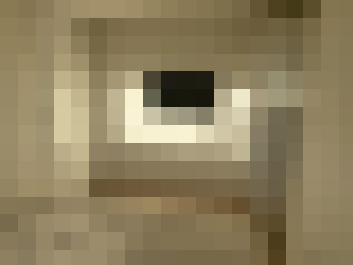  / #15