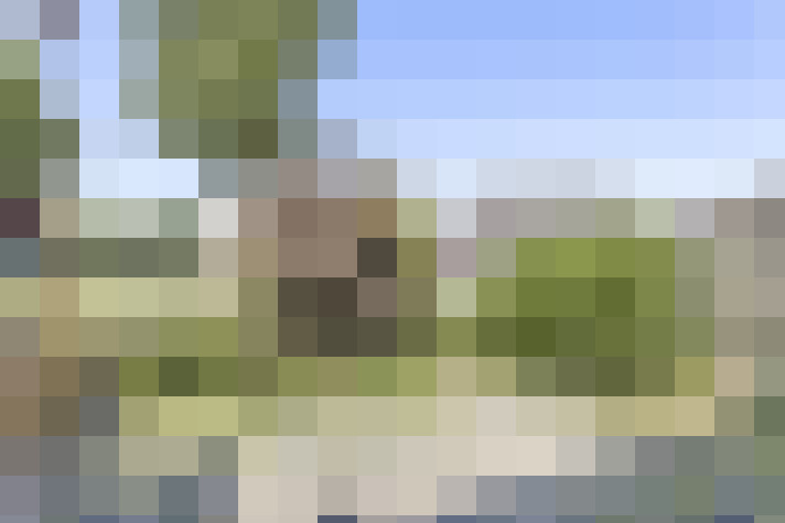  / #17