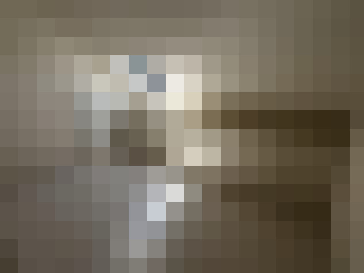  / #19