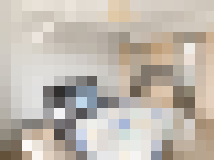  / #15