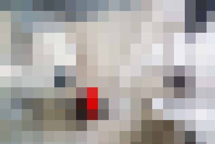  / #15