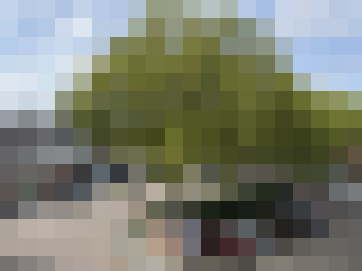  / #17