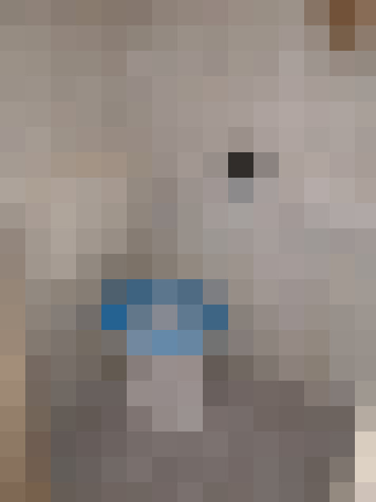  / #11