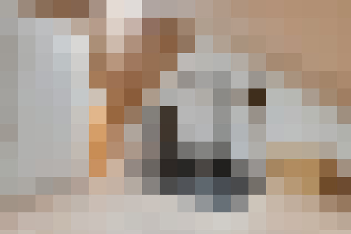  / #24