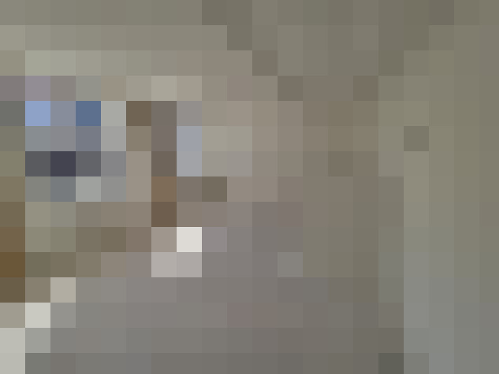  / #13