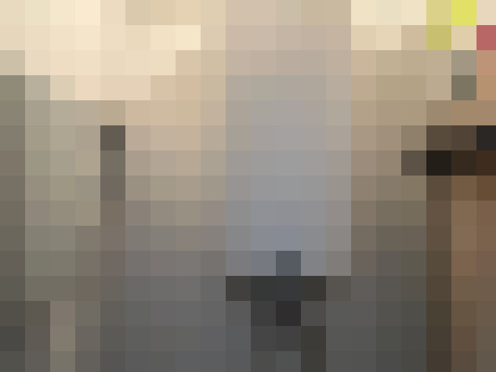  / #15