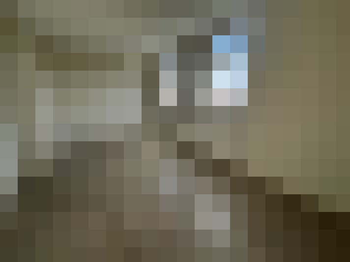  / #7