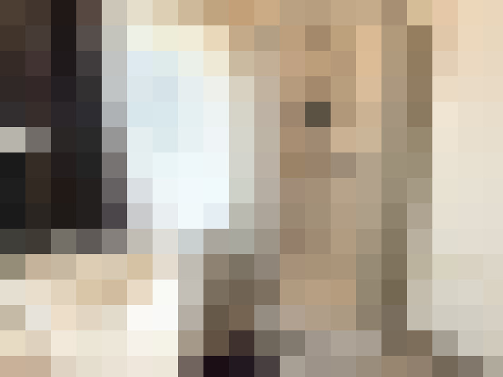  / #16