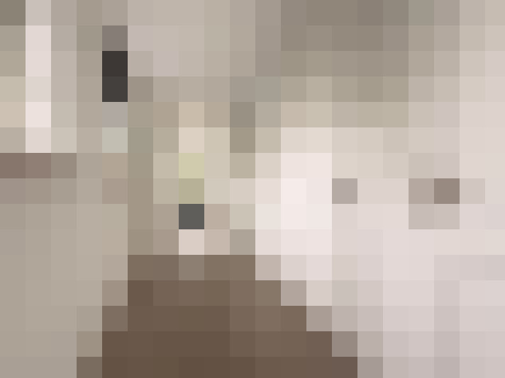  / #17