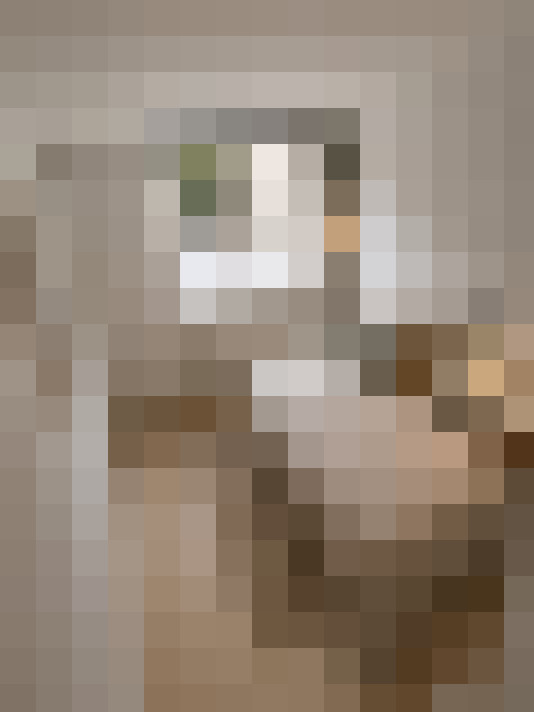  / #17