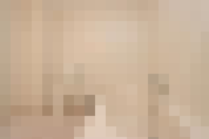  / #24