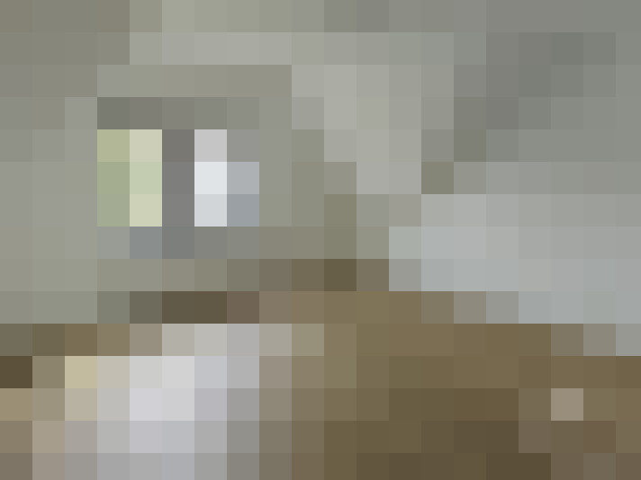  / #12