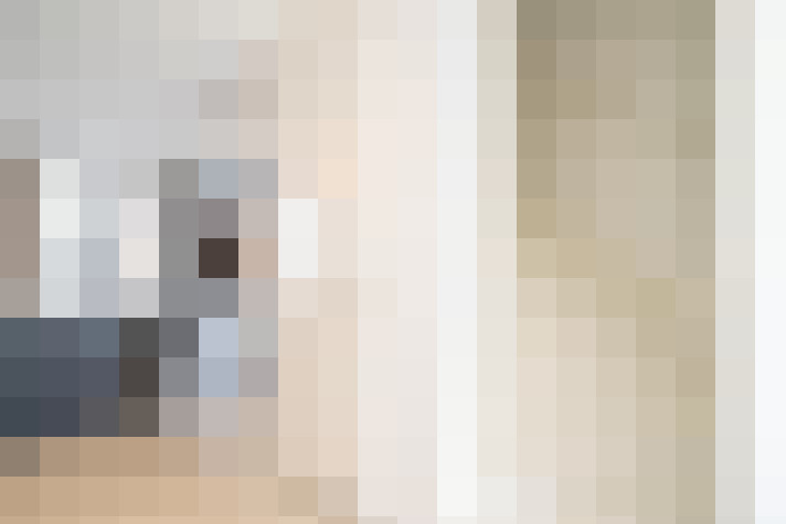  / #17