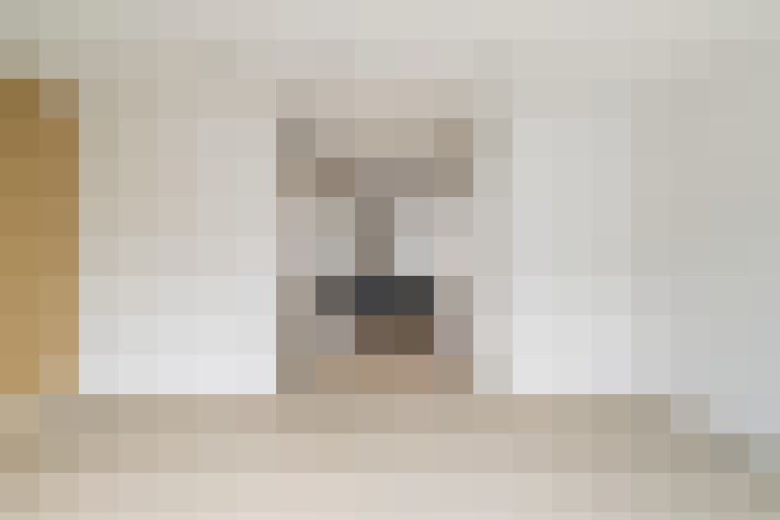  / #19