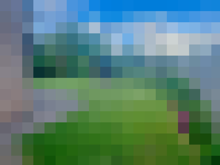  / #19