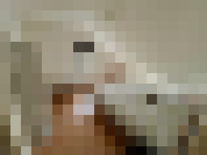  / #15