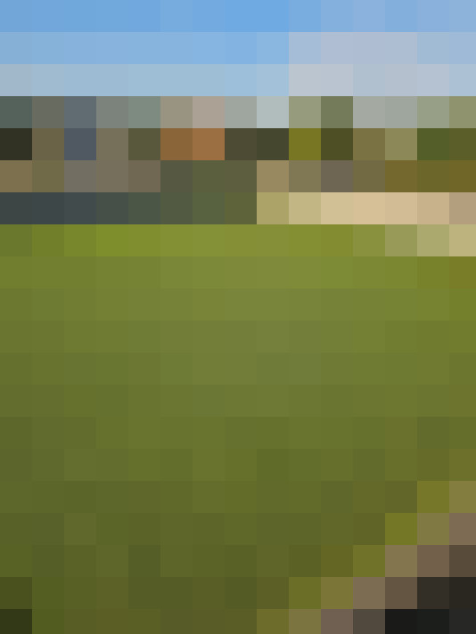  / #16